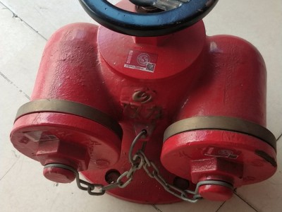 品质保障3C认证 多功能水泵结合器SQD-100/150图4