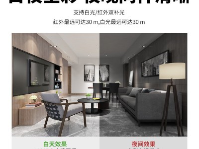 家用POE供电双光全彩智能侦测 球机 手机远程监控旋转摄像头批发图3