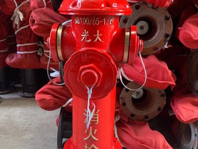 SS100/65-1.6地上式室外消火栓 地上栓消防器材厂家直销图2