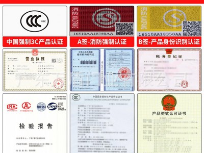 广东防火门甲级钢制防火门乙级钢质隔热防火门窗丙级安全门消防门图3