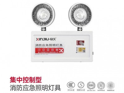 批发 消防集中控制应急照明灯低压疏散指示 集中控制电源箱24-36V图4