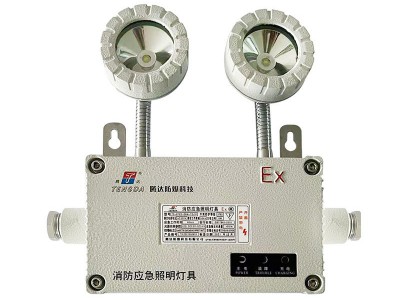 防爆灯自带电源非集中控制型消防应急照明应急双头灯AC220V图2
