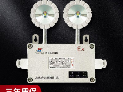防爆灯自带电源非集中控制型消防应急照明应急双头灯AC220V