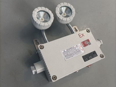 防爆灯自带电源非集中控制型消防应急照明应急双头灯AC220V图3