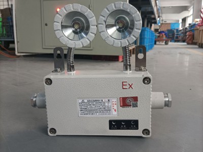 防爆灯自带电源非集中控制型消防应急照明应急双头灯AC220V图4