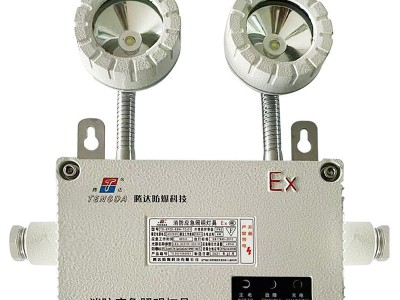 防爆灯自带电源非集中控制型消防应急照明应急双头灯AC220V图5