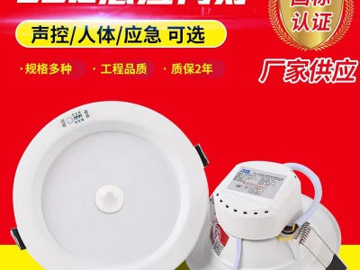 LED消防应急筒灯 工程商用嵌入式2.5寸声控人体感应应急照明筒灯