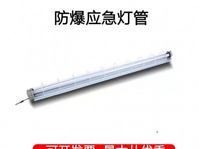 LED防爆双头消防应急防爆安全出口指示灯防爆灯管车间消防照明灯图4