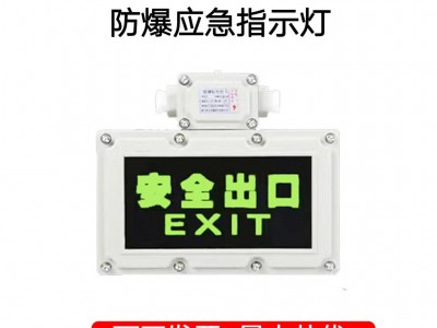 LED防爆双头消防应急防爆安全出口指示灯防爆灯管车间消防照明灯图2