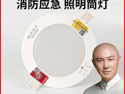敏华 消防应急筒灯 嵌入式自带电池暗装酒店人体感应照明LED射灯图2