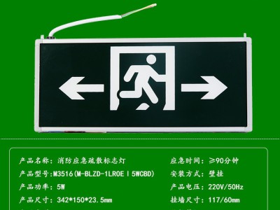 敏华电工消防应急指示灯 安全出口标志灯后出线M-BLZD-1LROEⅠ5W图2