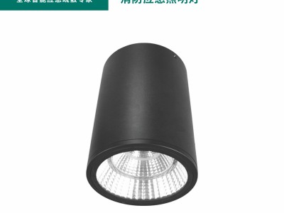 艺光消防集中电源集中控制型消防应急B型系列产品 S2092