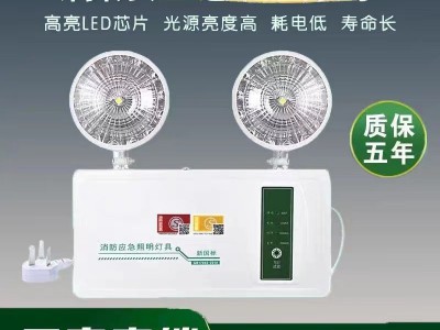 消防应急灯led照明灯紧急停电备用安全出口二合一应急照明灯图2