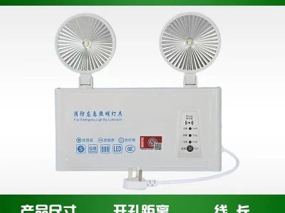 消防应急灯led照明灯紧急停电备用安全出口二合一应急照明灯