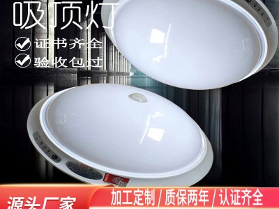 应急吸顶灯新国标消防应急灯声光控楼道照明带蓄电池人体感应灯