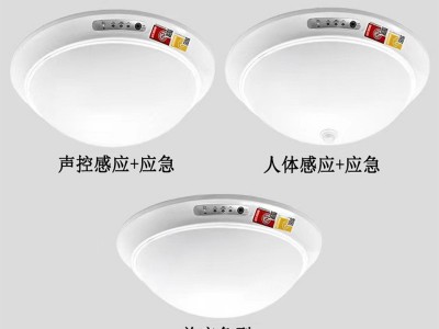 应急吸顶灯新国标消防应急灯声光控楼道照明带蓄电池人体感应灯图4
