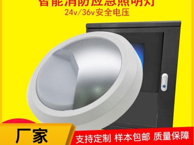 北岛应急灯具半圆集中控制型照明灯A型壁挂厂家