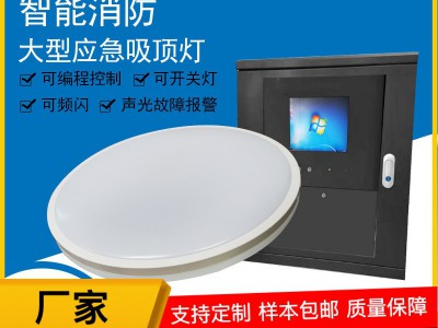 新标准LED消防应急吸顶灯应急照明灯集中控制应急灯灯具
