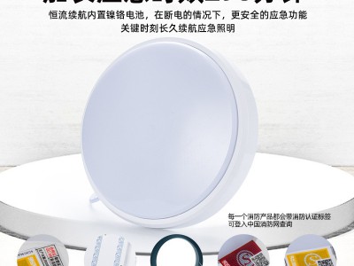 220V消防应急照明吸顶灯 应急灯具 带人体红外线感应和声光控感应图4