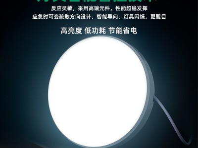 220V消防应急照明吸顶灯 应急灯具 带人体红外线感应和声光控感应图3