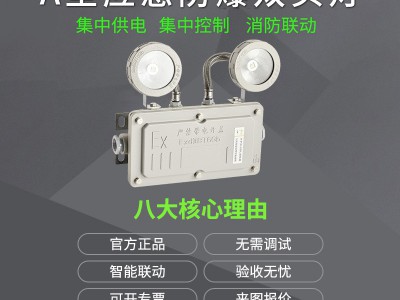 高温防水防潮led防爆应急灯加油站隧道矿用工业消防双头应急灯图2
