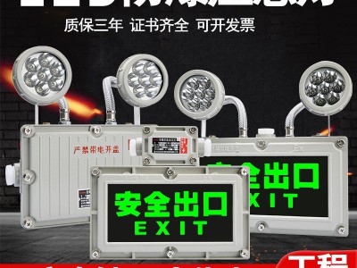 防爆双头应急灯消防照明应急灯安全出口疏散防爆指示灯牌灯标识灯图3