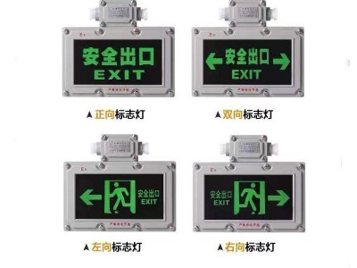防爆双头应急灯消防照明应急灯安全出口疏散防爆指示灯牌灯标识灯图4