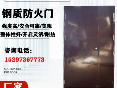 钢质防火门厂家 热转印木纹钢质防火门 办公楼防火门图4