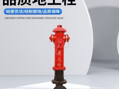 SS100/65-1.6消防栓SS150/80-1.6室外消火栓 地上栓 地上式消火栓图2