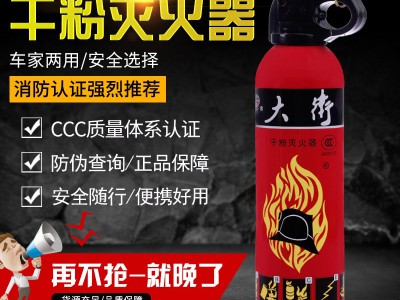 厂家直销车用车载ABC干粉消防家用灭火器500g国标正品安全手提式图3