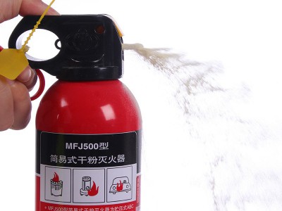 厂家直销车用车载ABC干粉消防家用灭火器500g国标正品安全手提式
