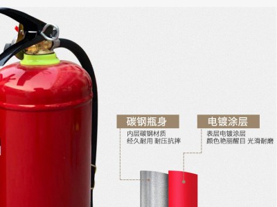 灭火器4kg干粉4公斤手提式车用1kg2kg3kg5kg8kg消防器材箱子图2