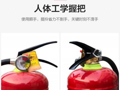灭火器4kg干粉4公斤手提式车用1kg2kg3kg5kg8kg消防器材箱子图4