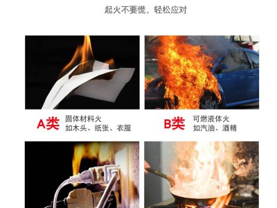小型车载灭火器水基型600ml手提式便携家用车用灭火器可灭电火图4