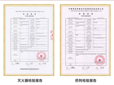 金属专用灭火器 手提式d类灭火器 锂电池镁铝 4kg金属D类灭火器图2
