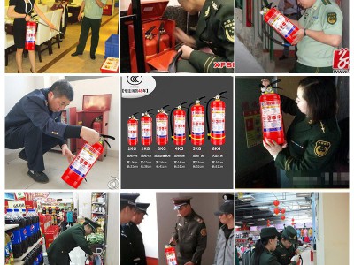 灭火器4kg干粉abc2/3/5/8四公斤的提手式商家店用消防器 材套装图5