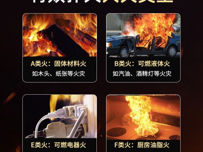 手提式水基灭火器2L3L6L9L泡沫家用商用便携年检车载消防器材批发图3