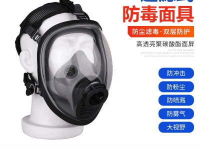 过滤式防毒面具正压式消防空气呼吸器面具球形全面罩消防救生面具图3