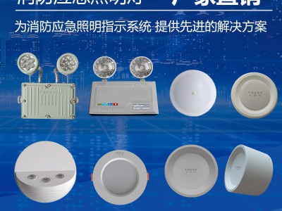 双头防爆应急照明灯具隧道工程安全出口照明停电应急灯消防led灯图2