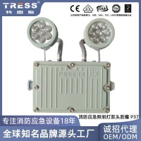 双头防爆应急照明灯具隧道工程安全出口照明停电应急灯消防led灯