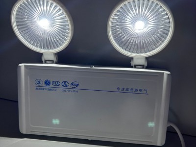 消防LED疏散应急照明灯具双头吸顶壁装集中控制图3