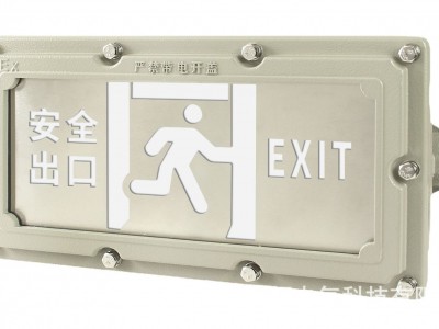A型消防疏散指示灯具嵌入式照明集中控制警示标牌楼层安全出口图4