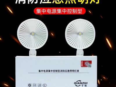 厂家批发集控集电智能型消防应急照明灯 36V24V低压双头应急壁灯图3