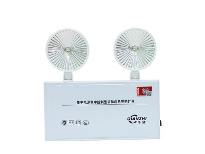 厂家批发集控集电智能型消防应急照明灯 36V24V低压双头应急壁灯图5