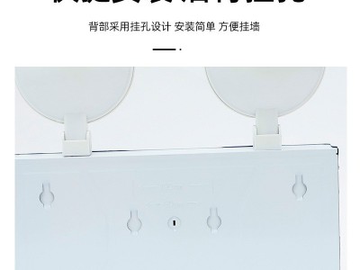厂家批发集控集电智能型消防应急照明灯 36V24V低压双头应急壁灯图4