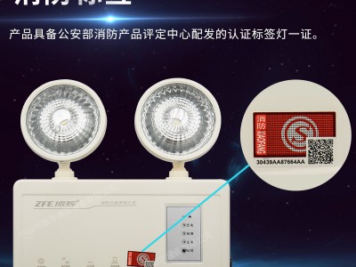 厂家直销 振辉LED双头消防应急照明灯具ZF-202中山消防应急灯批发图5
