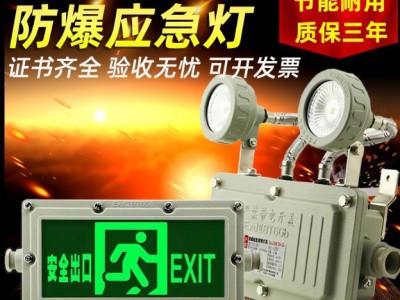 π拿斯特防爆消防双头应急灯照明疏散灯安全出口指示灯新国标敏华