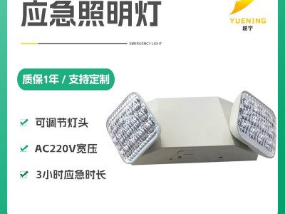 消防应急照明灯外销安全出口指示灯LED通道应急标志灯