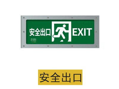 新国标IP65户外隧道灯防水消防应急照明灯直面安全出口疏散指示牌图2