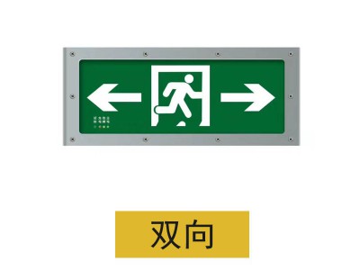 新国标IP65户外隧道灯防水消防应急照明灯直面安全出口疏散指示牌图3